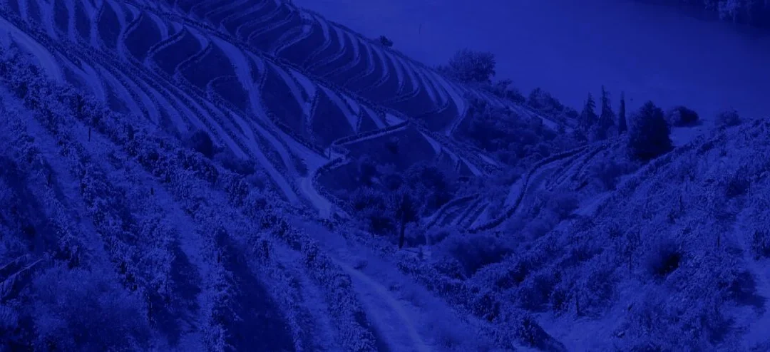 S02 |  2025-2029